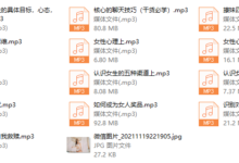 《新星裂变》训练营_倪昊-干物库
