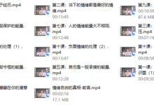 隔壁王司机情绪自由的真相-干物库