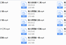 2020Chris魅力原理『已更新完』-干物库
