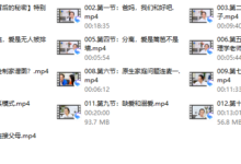 伴侣关系背后的秘密线上视频课[冷爱]-干物库