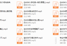 2018年《ASM恋爱学1.0》-干物库