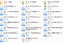 迪诺情感《2020情受私教课》-干物库