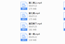 悦爱团队《速食爱情》-干物库