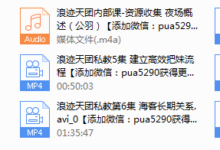 2017年浪迹《天团私教》-干物库