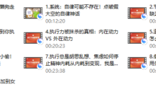 社交光谱莱特Light《执行力能量系统》无尽的执行和自律能量-干物库