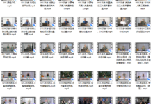 磊哥减脂塑形课程2.0-干物库