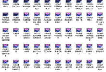 搭讪大师 良叔《约会的艺术》-干物库