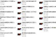 本渡情感《好老婆全案》20节-干物库