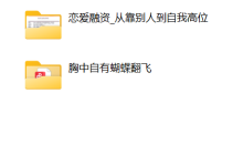 荡秋千的妇女合集-干物库